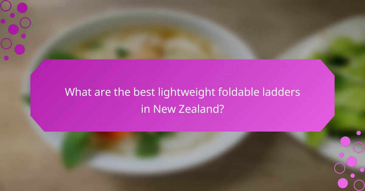 What are the best lightweight foldable ladders in New Zealand?