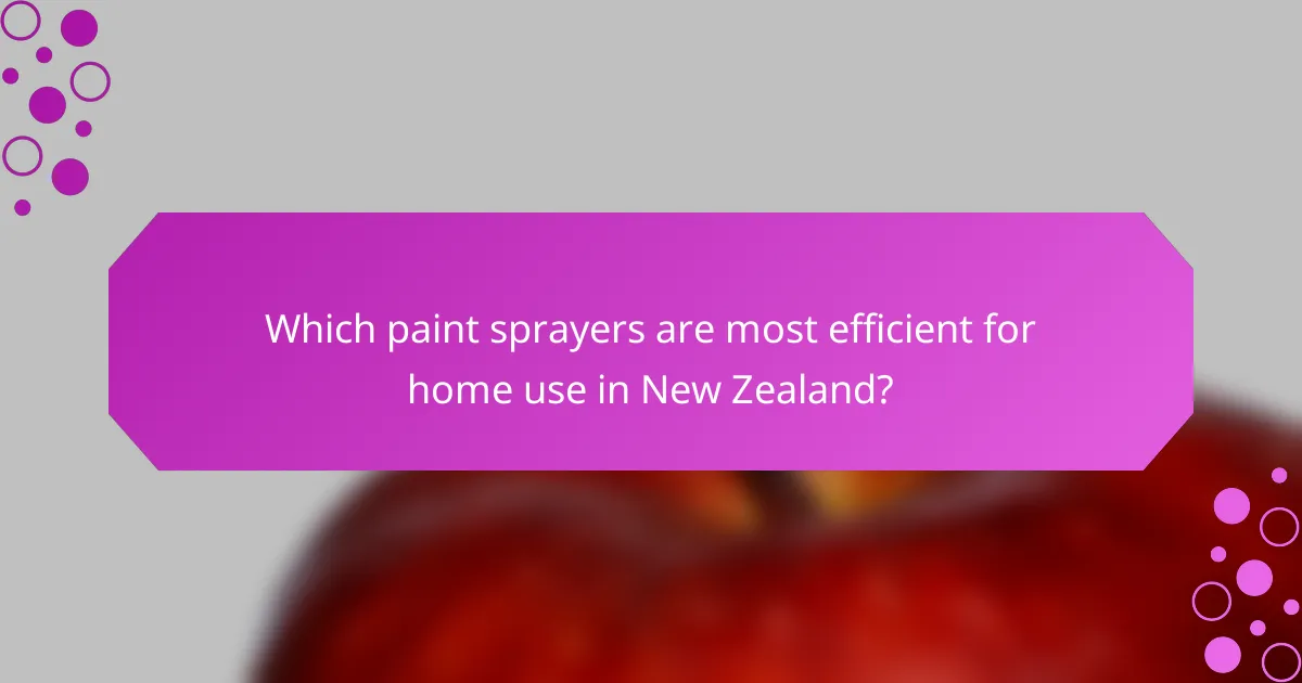 Which paint sprayers are most efficient for home use in New Zealand?